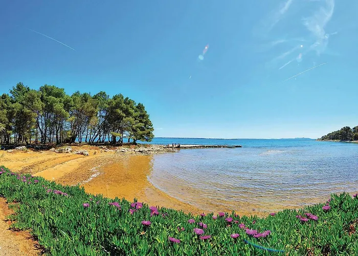 Put Brdonje Iii Apartament *