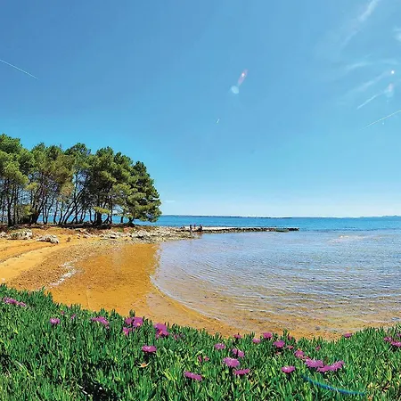 Stunning In With House Sea View شقة *