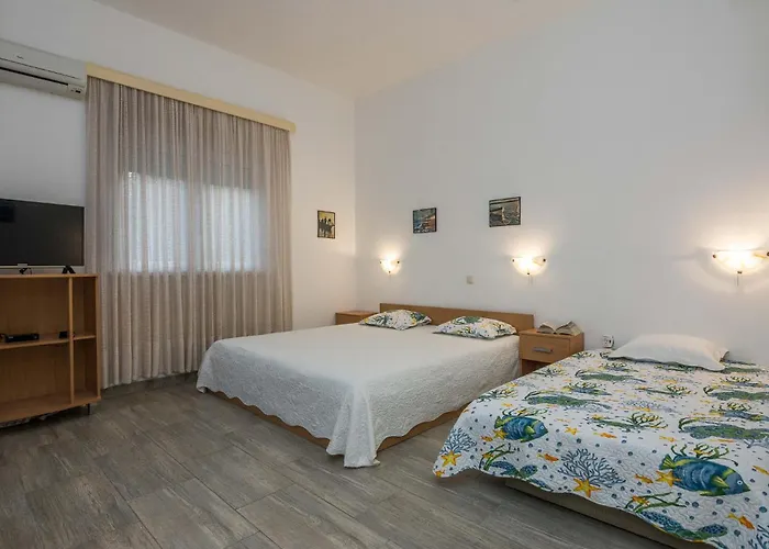 Put Brdonje Iii 비르